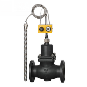 ����ʽ�ض��{���y